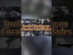 لامبوس الصناعية الدرجة TCT دائرية تمزيق شفرة الشفرة مع شفرات